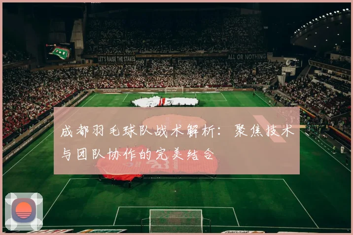 成都羽毛球队战术解析：聚焦技术与团队协作的完美结合